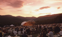 meadow-concert-thumb